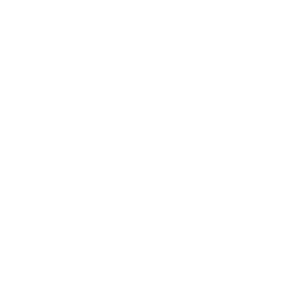 Ryukyukan Logo